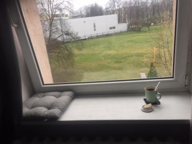 Studija Virs Cukraines Druskininkuose Druskininkai Bagian luar foto